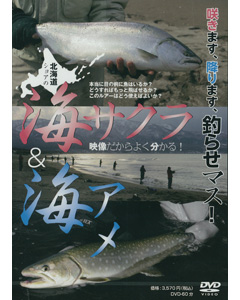 北海道ショアの海サクラ＆海アメ