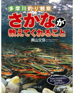 多摩川釣り観察