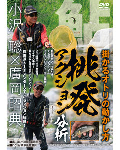鮎 挑発アクション分析