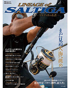LINEAGE of SALTIGA −ソルティガの系譜−