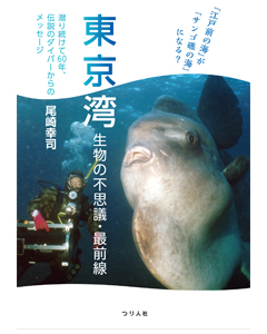 「江戸前の海」が「サンゴ礁の海」になる？東京湾 生物の不思議・最前線