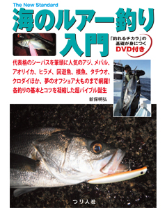海のルアー釣り入門